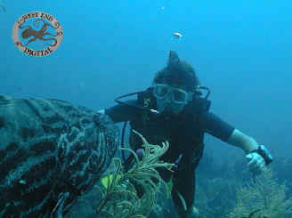 Diver meets grouper by Matt Hoover, West End Digital, Roatan.